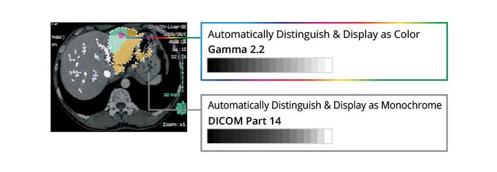 Hybrid Display of Monochrome and Color en