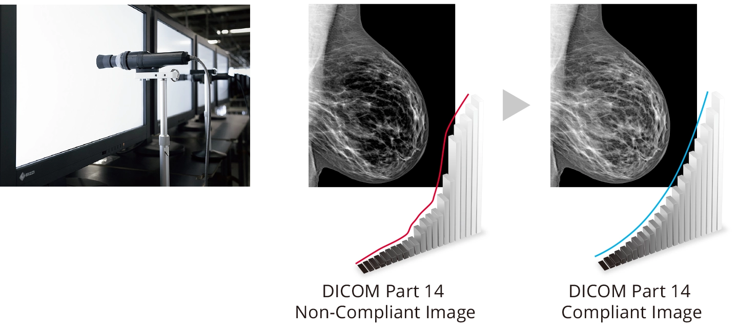 Make the Precise Diagnosis
