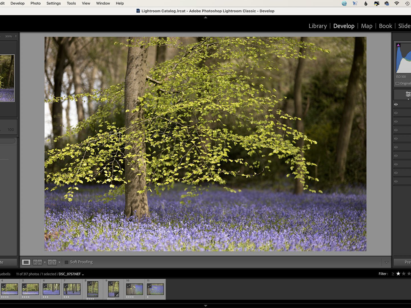 Adobe Lightroom Classic uai photo editing software