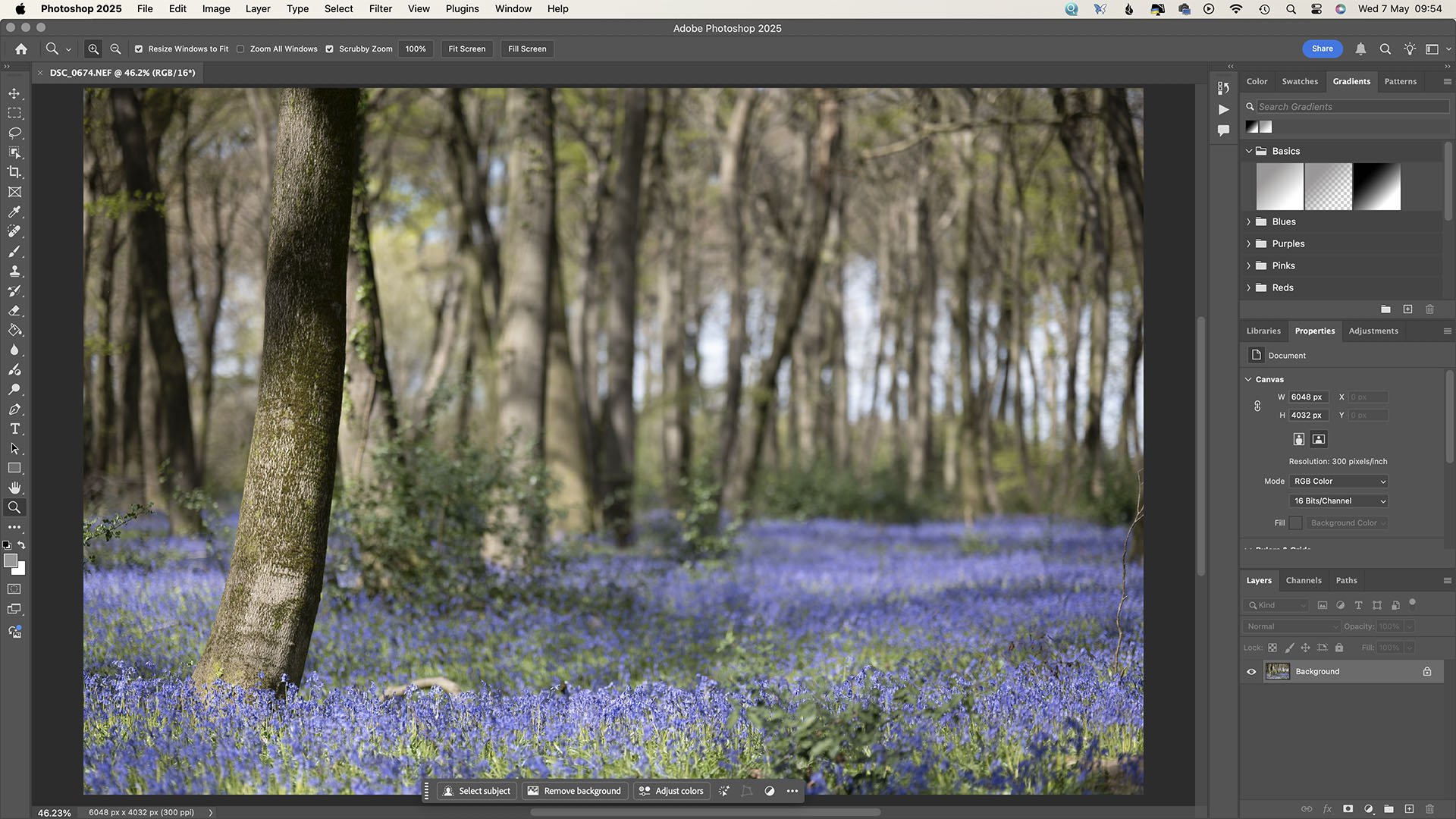 Adobe Photoshop