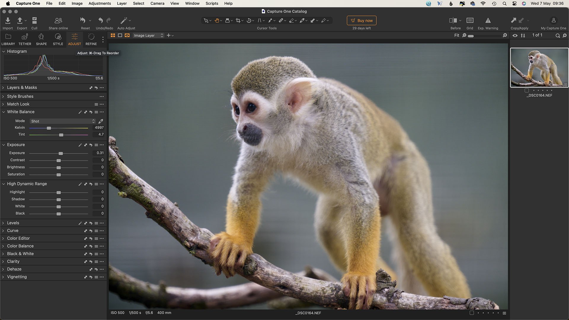 CaptureOne Pro